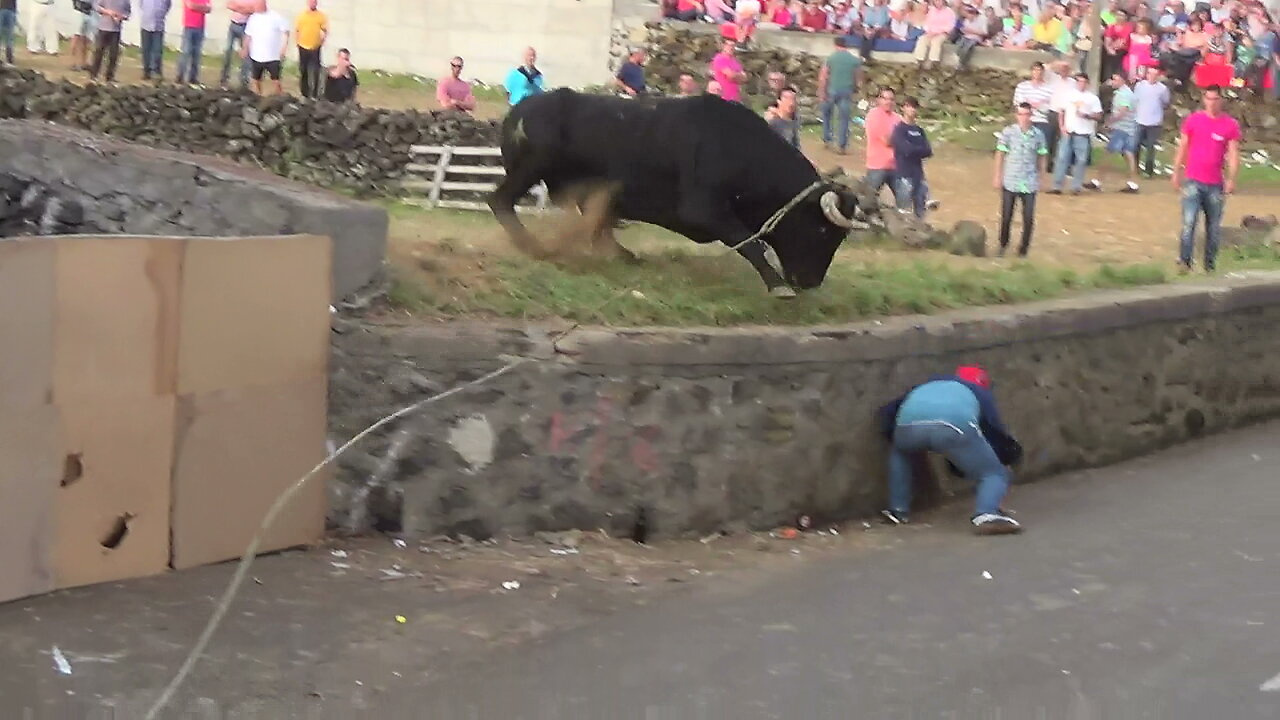 Touradas 2014 Clip 7 - Diversas Localidades Ilha Terceira - Açores - Portugal