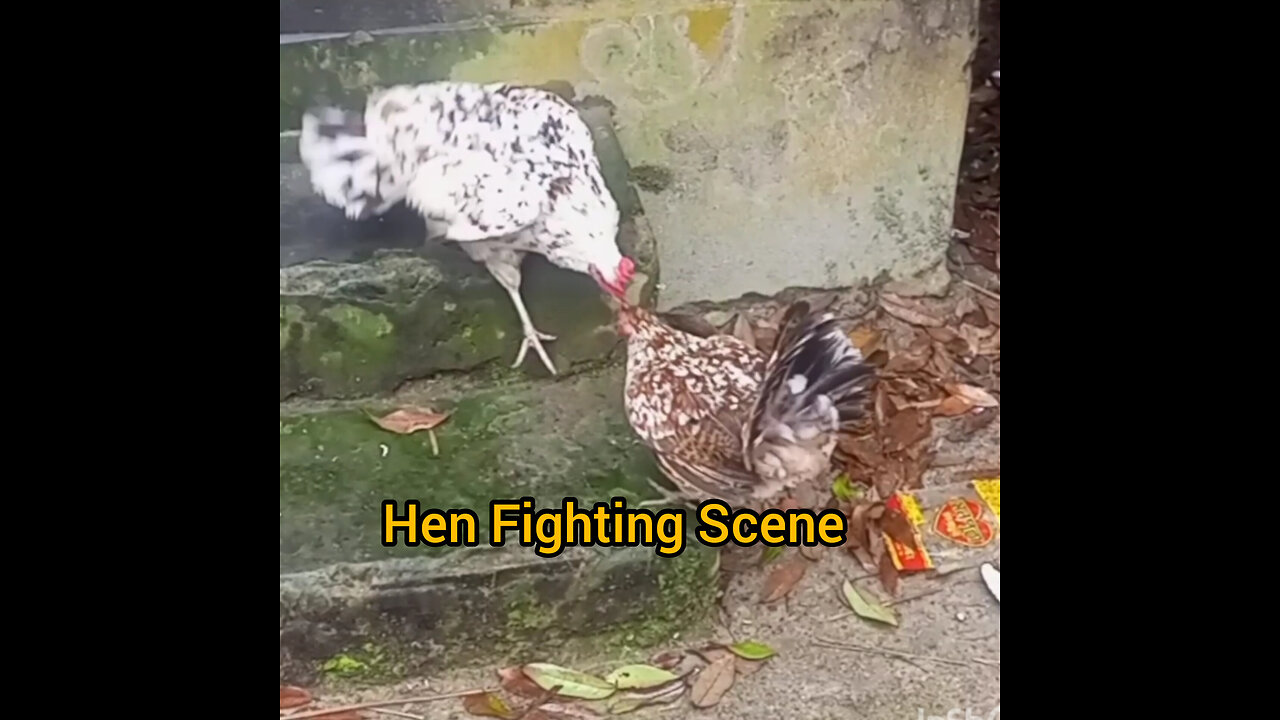 Hen Fighting Scene | Movie | Scene | Aditya | Krishna |