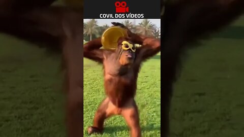 fim de balada 😂😂