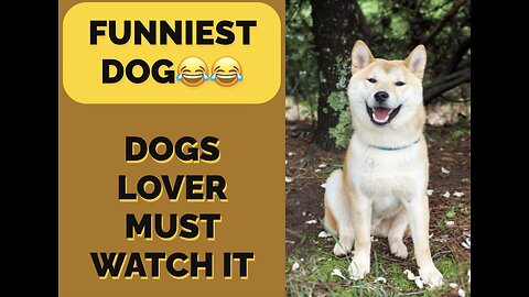 1. "You'll Be Barking with Laughter Watching This Hilarious Dog Video!"