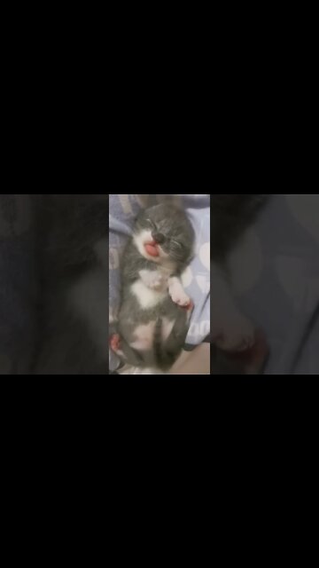 Do you think I am cute?