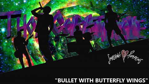 WRATHAOKE - The Smashing Pumpkins - Bullet With Butterfly Wings (Karaoke)