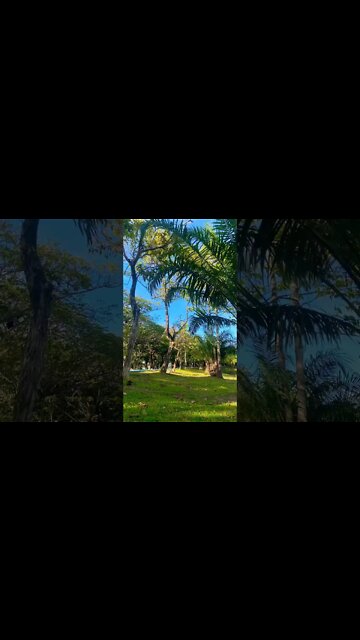 Beautiful Park in Phuket