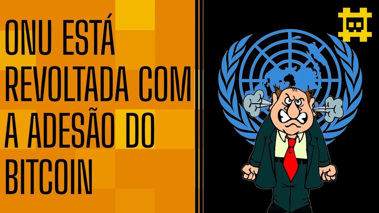 Órgão da ONU faz críticas e alertas sobre os perigos do BTC não ser regulamentado - [CORTE]