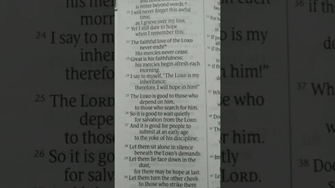 Lamentations 3:13-33 NLT