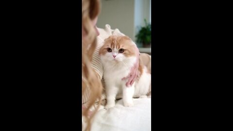 A Woman With Her Cat On The Bed