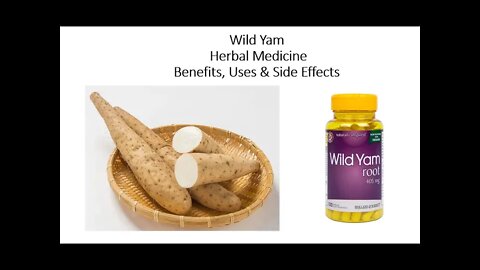 Wild Yam - Herbal Medicine - Benefits, Uses & Side Effects