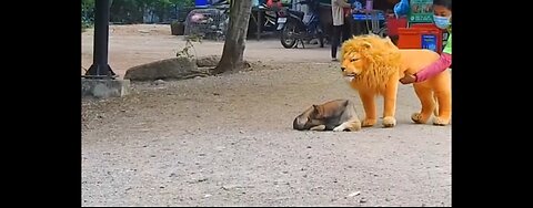 Fake lion prank 2024