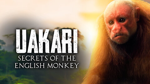 Uakari: Secrets of the English Monkey | Official Trailer | BayView Documentaries