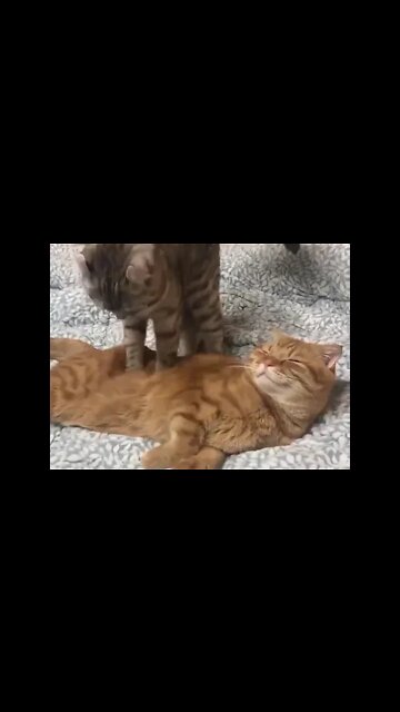 What to do while stay at home