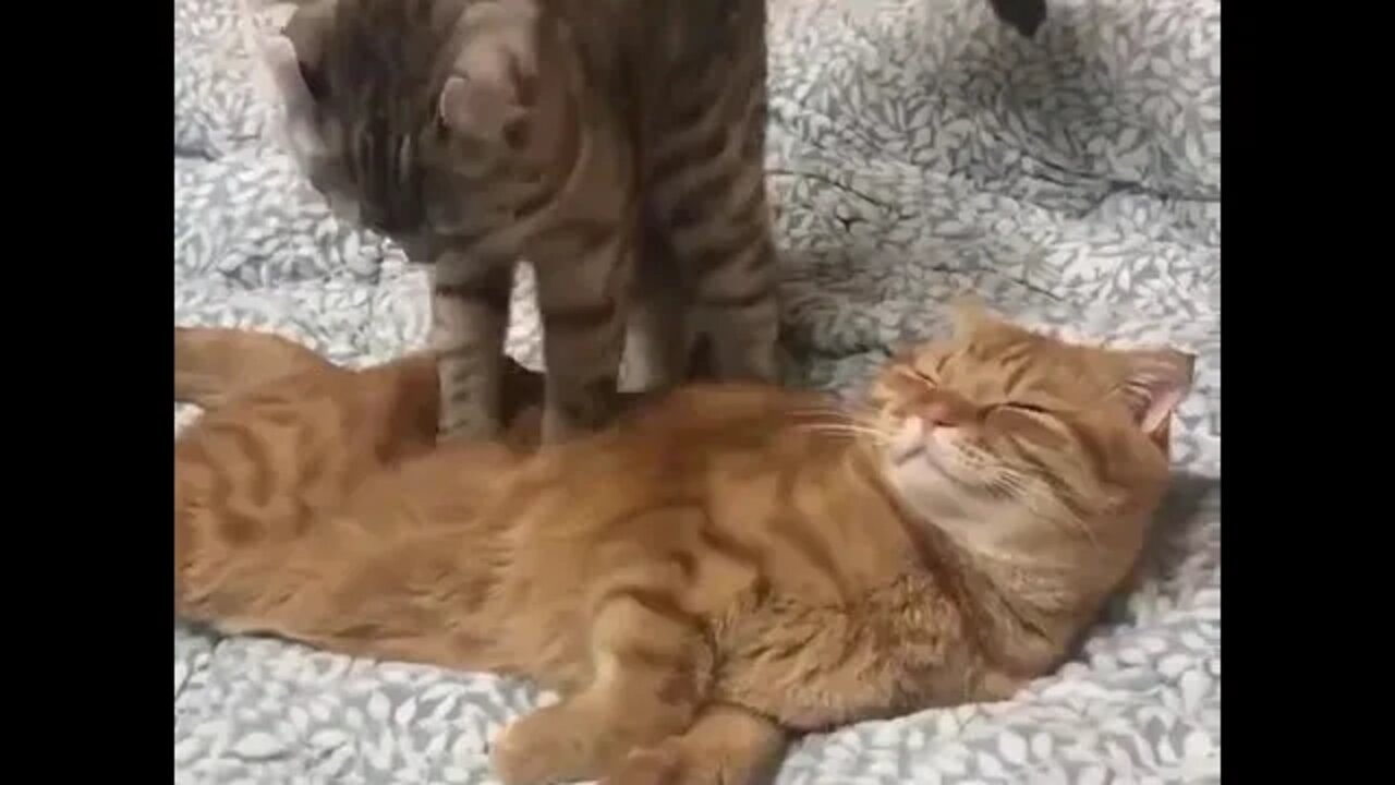 What to do while stay at home