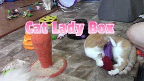 Cat Lady Box Unboxing (Kitten Around) August 2022! 😻