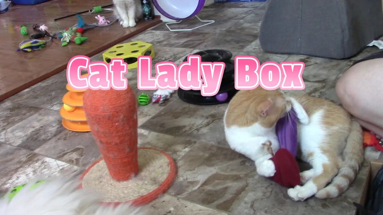 Cat Lady Box Unboxing (Kitten Around) August 2022! 😻