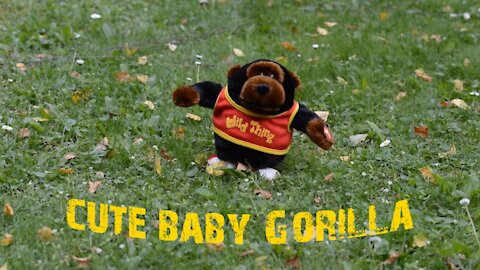 funny cute baby gorilla