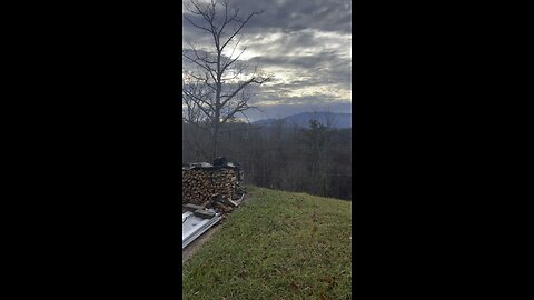 Best Firewood Spot in the Country….