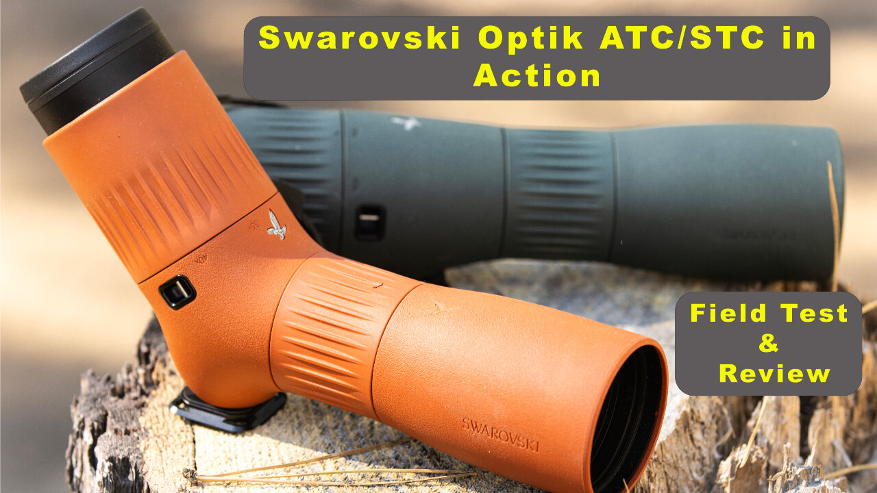 Swarovski Optik STC and ATC in Action: A Detailed Field Review