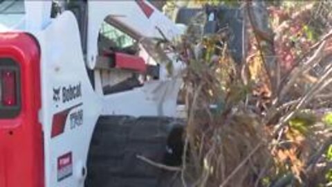 Charlotte County starts to clean Hurricane Ian debris out of waterways