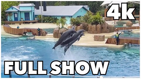 [4k] Dolphin Adventures Show at SeaWorld Orlando