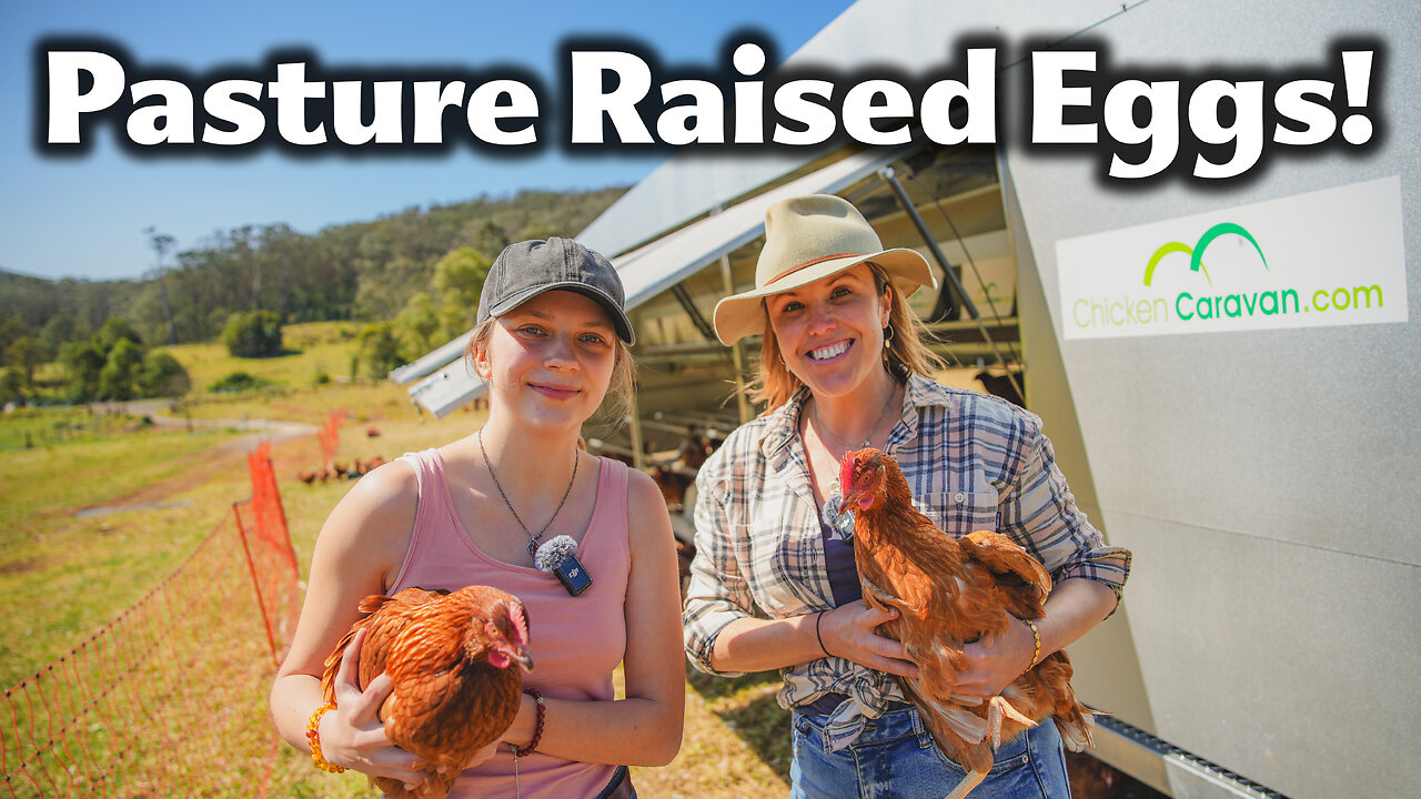 The Secret Behind This Aussie Farmer’s Spotless Eggs: She Can’t Keep Up with Demand!