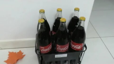 Porta Cerveja Litrão 1000ml ou 600ml Squeeze Cesta Para 6 Unidades de Garrafas