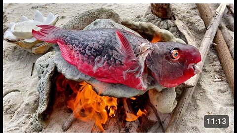 Rare PARROT Cooking on Hot Rocks #