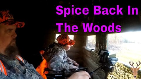 Spice is Deer Hunting Again