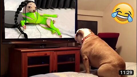 Best Funny Dogs And Cats 😹🐶 - Funniest Animals Videos 2023 #viral