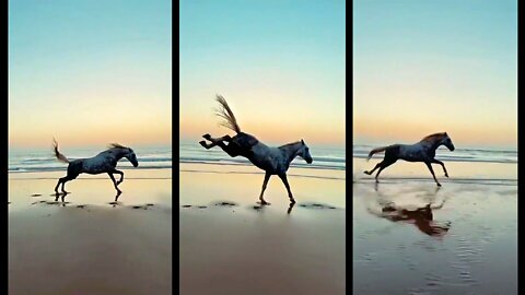 horse Running in a beach with unstoppable song