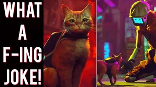 The Stray game involving cats HURTS asian people!? Brave journalist EXPOSES game?!