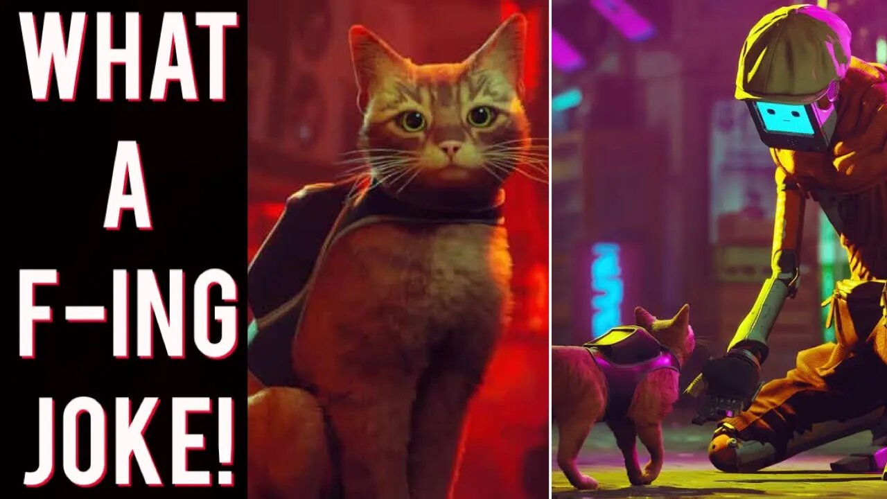 The Stray game involving cats HURTS asian people!? Brave journalist EXPOSES game?!
