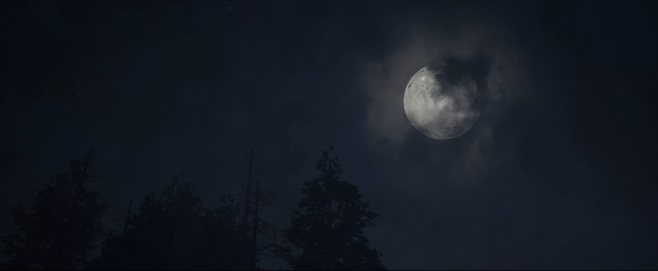 Saving Everyone at The Quarry / Chapter 6: Prayers by Night