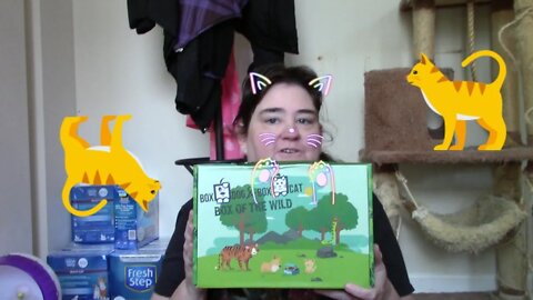 Box Cat Luxury Box August Unboxing 😻