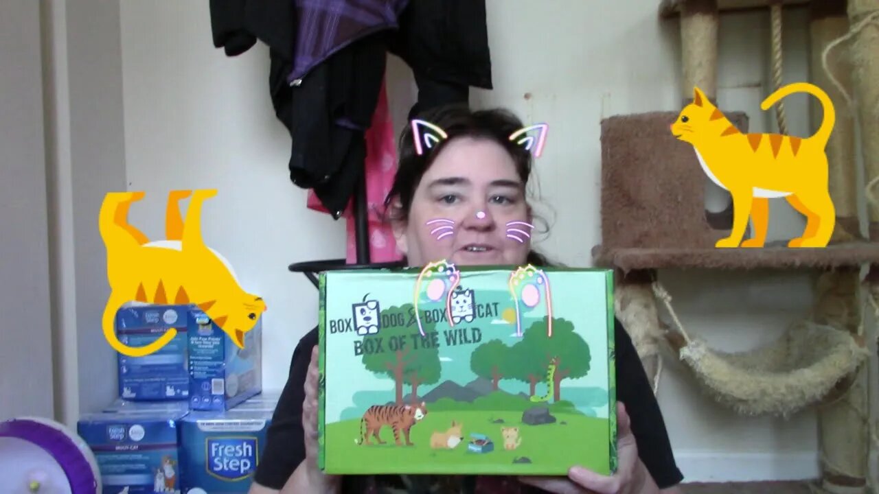 Box Cat Luxury Box August Unboxing 😻