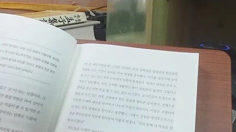 금융으로 본 세계사, 천위루, 돈과 쾌락, 로마, 아테네, 공화정, 대대손손, 전쟁, 노예, 생포,타렌툼