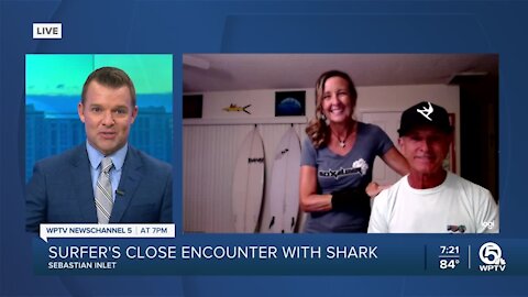 Surfer's close encounter