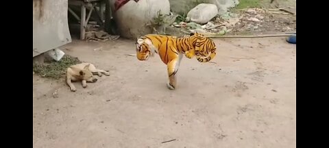 Dog funny moment 🤣🤣🤣🤣