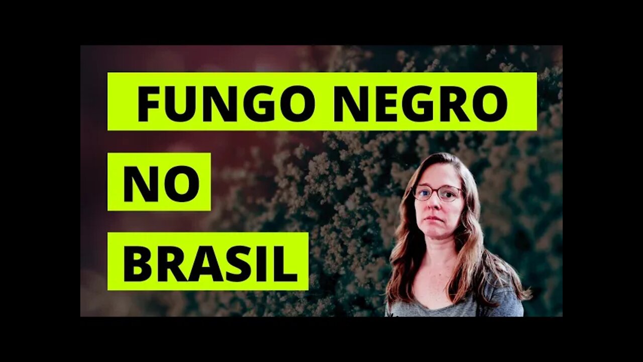 Fungo Negro: Mucormicose, pesadelo da pandemia no Brasil