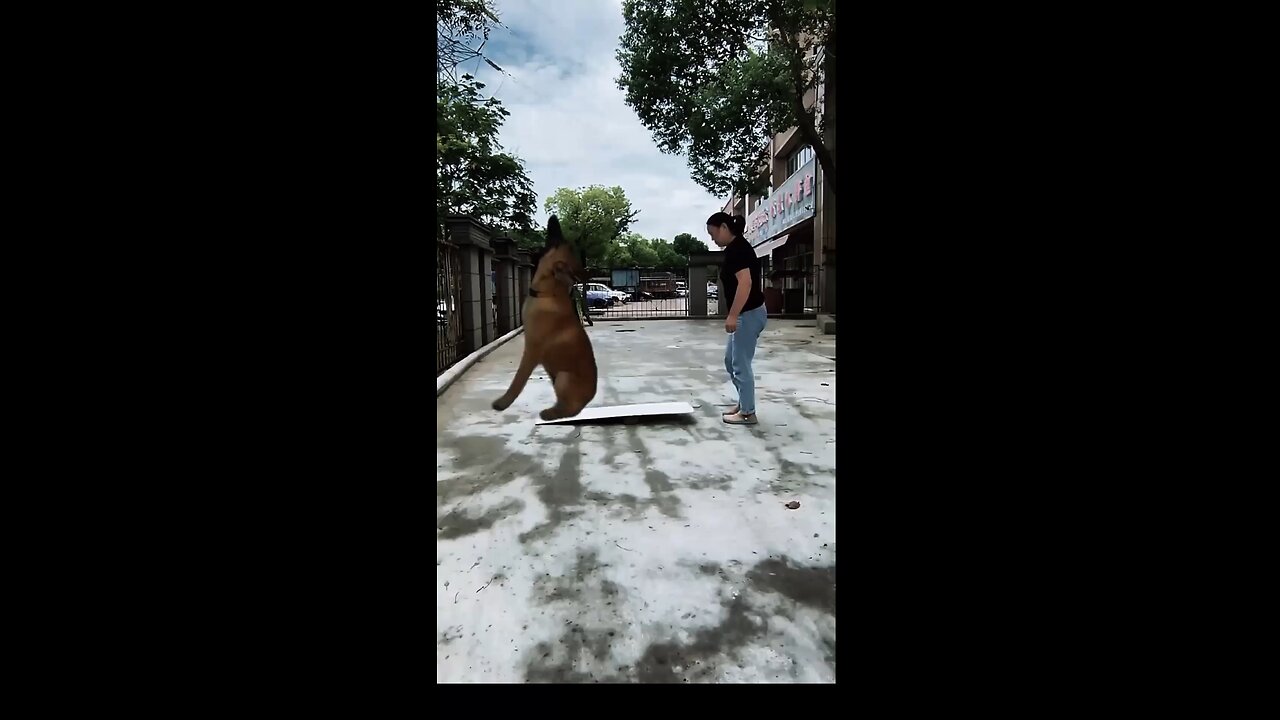 #Amezing video 2023