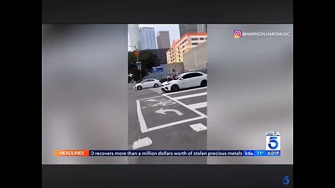 Woman clings to thieves car after her dog is stolen