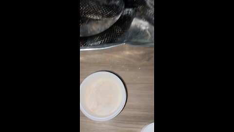 King cobra eating snake 🐍