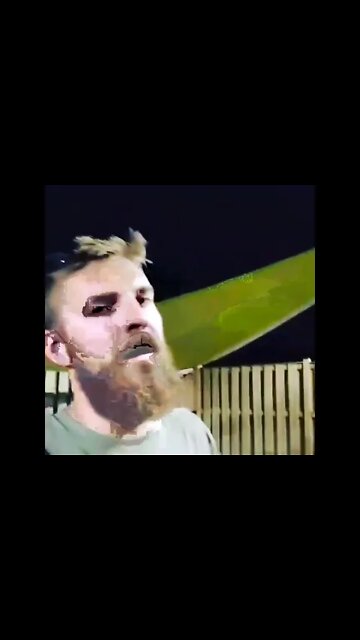 Aggressive Dogs - Walk MORE