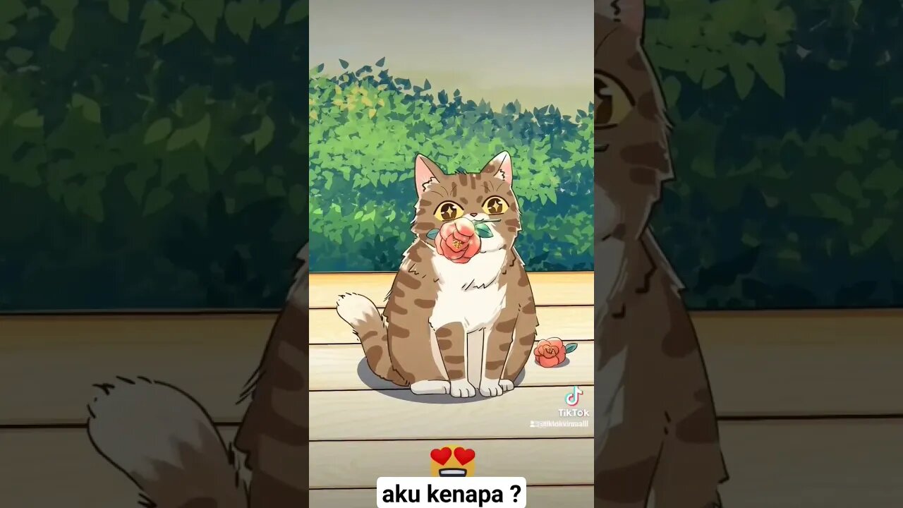 kucing ini menyemangati majikannya #shorts