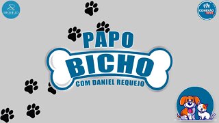 PAPO BICHO - 15/12/2021