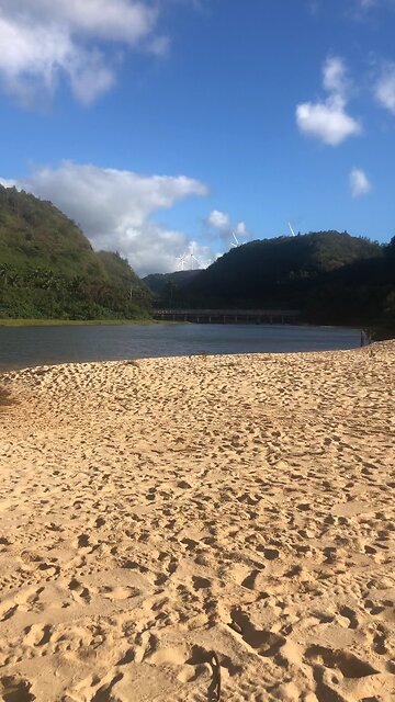 Want to get paid to read?