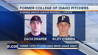 College of Idaho Minor League Baseball Update