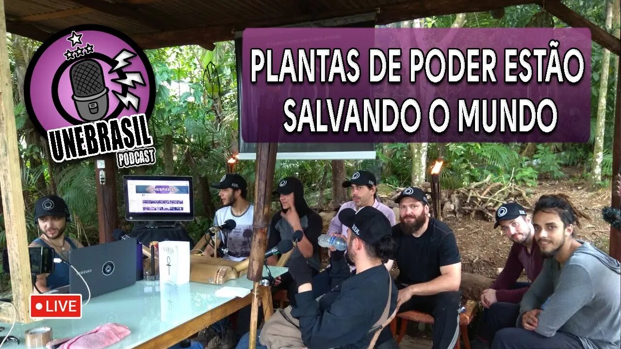 A Erva vs Santo Daime - UNEBRASIL PODCAST