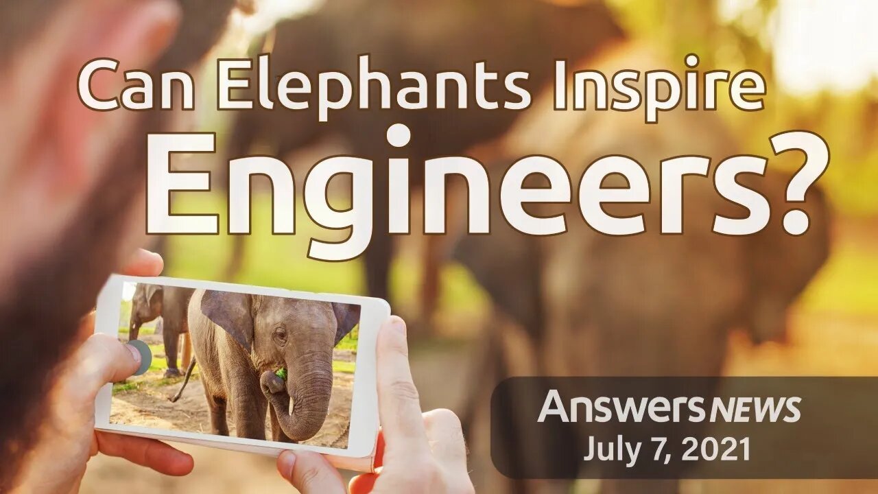 Can Elephants Inspire Engineers? - Answers News: July 7, 2021