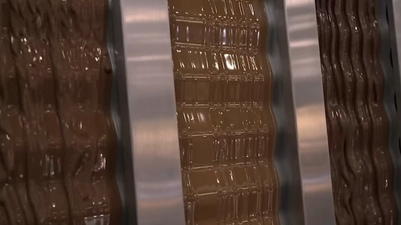The Dark Side of Chocolate🍫(Bittersweet)- Child Labour in Ivory Coast 🇨🇮