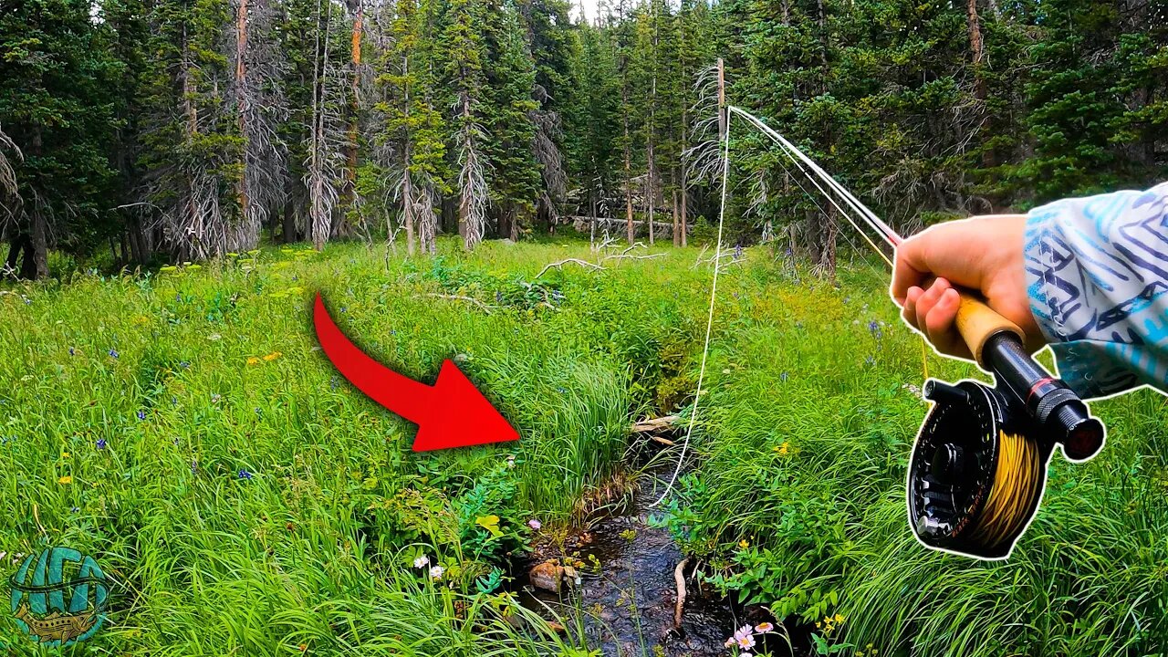 Fly Fishing the SMALLEST CREEK that would hold trout (BIG Surprise Catch)