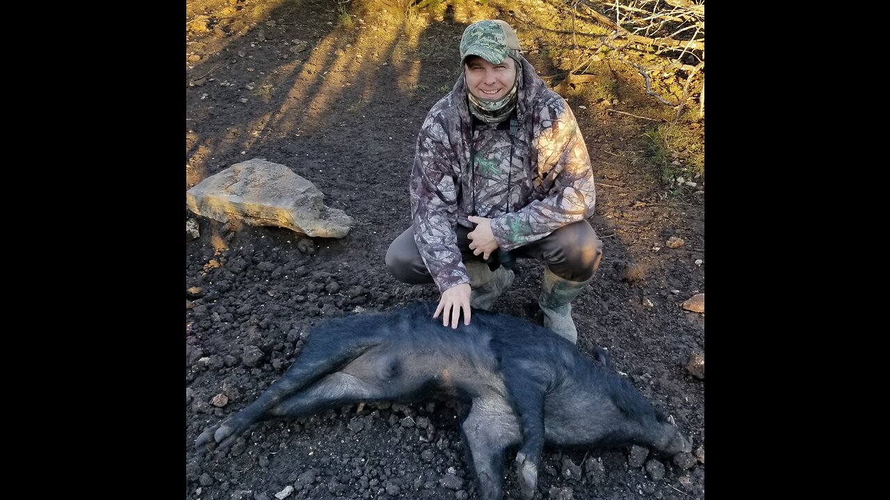 Hog Compilation 1 of 3 24 pigs bite the dust.